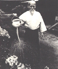 O-Sensei in garden